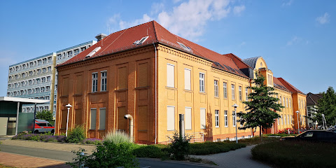 AF1QipOl 7cGMBZW4V0YtbvHk7CYzI6Fap3RICeG1dbCw480 h240 k no