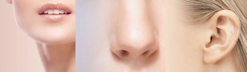 AF1QipPMO5AKTrY6tlAy 0kXN7Ugl3fS6whbiZENOYJrw814 h240 k no