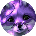Disco Fuchs