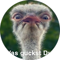 Meiner Auch Meiner Meiner Auch Meiner