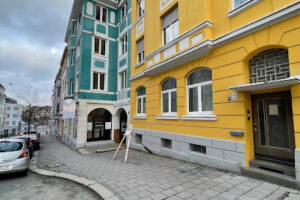 MUDr. Ales Slavicek – Hof