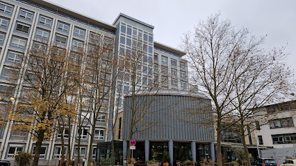 AF1QipOEnlhMOt7OEWUlqXSfZabn4BkNWIX zfIgtWAqw426 h240 k no