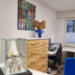 HNO Praxis Doctor-medic Cristina Sandra-Petrescu, Jaroslaw Socha (MVZ Hals-Nasen-Ohrenheilkunde) – Karlsruhe