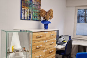 HNO Praxis Doctor-medic Cristina Sandra-Petrescu, Jaroslaw Socha (MVZ Hals-Nasen-Ohrenheilkunde) – Karlsruhe