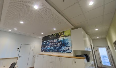 AF1QipOoHotdhRQ2Mu9pgvLCWox2K9VEY8jgx0TcCV aw408 h240 k no pi 20 ya240.92097 ro 0 fo100