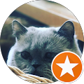 Kater Gold Kater Gold