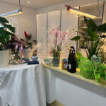 Praxis Al Haio – Paderborn