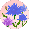 Lilly